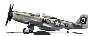 Quando é o dia do amigo? P-51